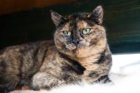 Unsere zarte und scheue Rosallie