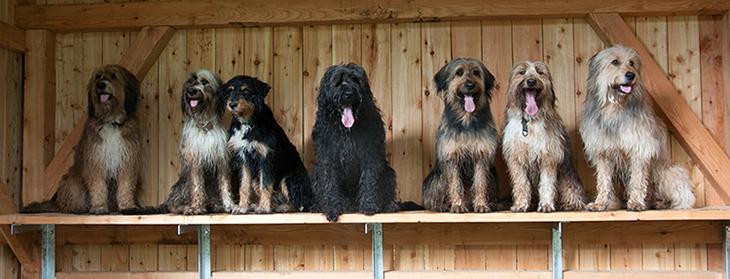 Wäller vom Albtrauf